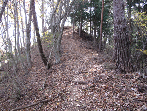 20181126hike (138)